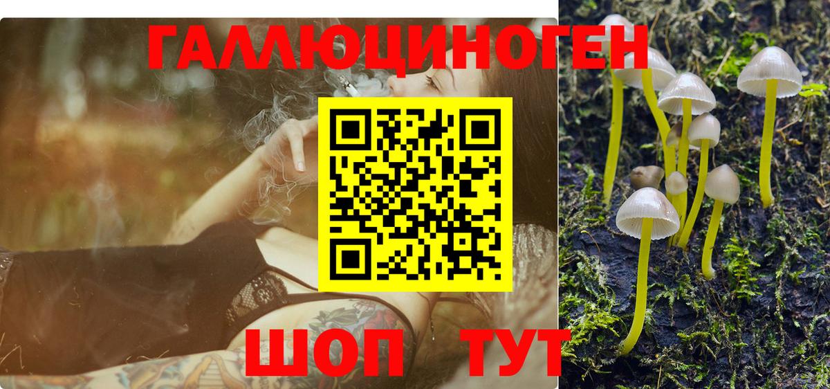 Псилоцибиновые грибы прущие грибы Волгоград