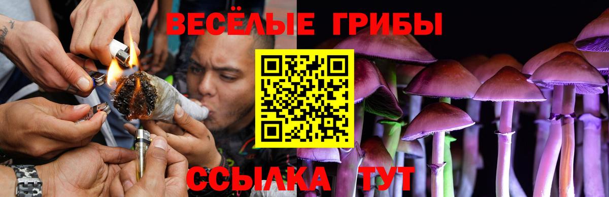 Псилоцибиновые грибы мицелий  Вход с VPN  Волгоград 